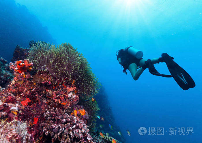 年轻女子水肺潜水员探索珊瑚礁. 水下运动和跳跃活动.