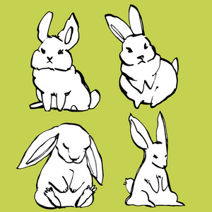 收集一些可爱的兔子, 手绘插图。可爱兔的插画布景人物设计