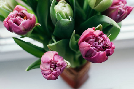 关闭和选择性软焦点花束美丽的粉红色和绿色郁金香在花瓶。 顶部视图模糊抽象背景。 春季假日日期活动概念卡