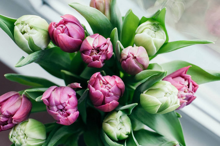 关闭和选择软焦点花束美丽的粉红色和绿色郁金香在花瓶在窗台上。 顶部视图模糊抽象背景。 春季节日日期活动概念