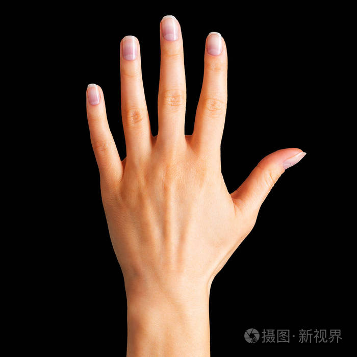 女性手显示五手指和手掌照片-正版商用图片192que-摄