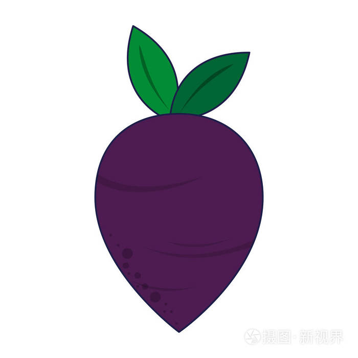 萝卜蔬菜食品蓝线