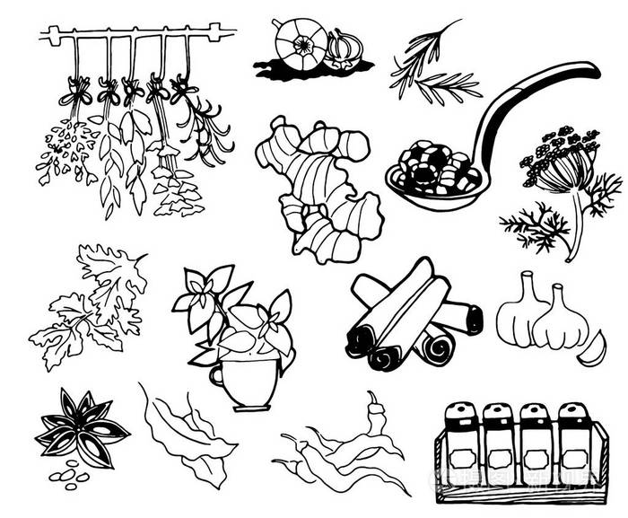 植物复古食品小品插画-正版商用图片19334d-摄图新视界