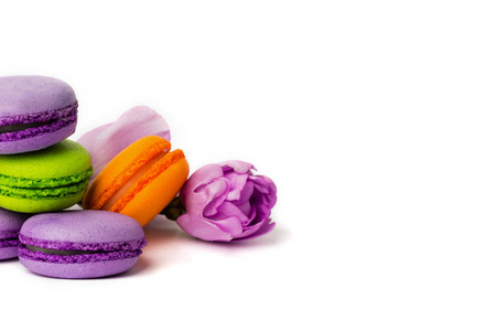 蛋糕通心粉或通心粉分离在白色五颜六色的杏仁饼干上，涂上紫色的春天花。 复制文本空间。