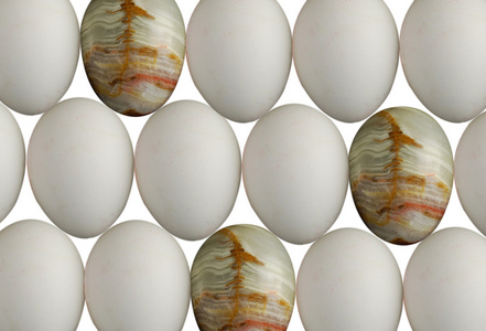 创业板的蛋尤其鸡鸡蛋图片