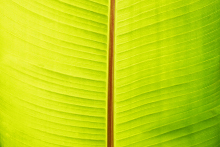 悬崖照片-正版商用图片19ymfm-摄图新视界