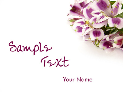 白色和紫色的花朵卡背景