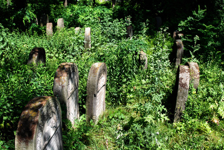 中奥扎鲁夫的老犹太公墓。波兰