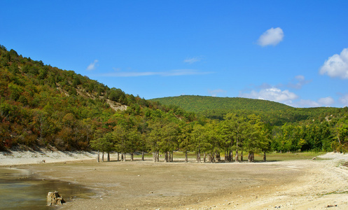 夏天风景