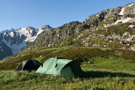 在阳光明媚的草地上的绿色野营帐篷