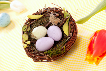 鸟巢的复活节彩蛋