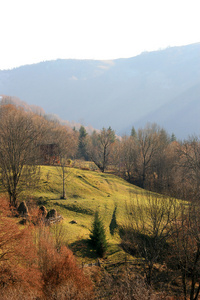 山风景