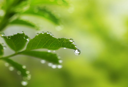 雨点，雨滴