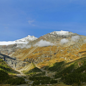 阿尔卑斯山。