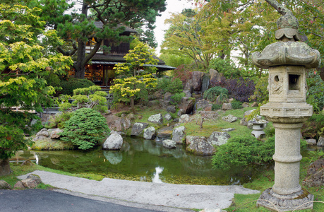 在旧金山的日本茶花园