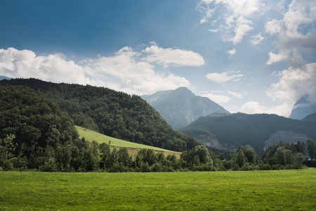 与绿草山