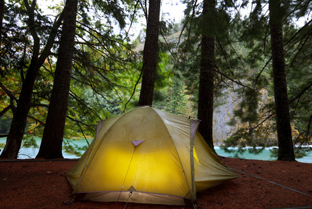 在森林中的帐篷