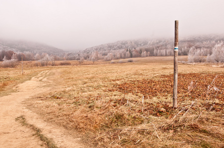 在 bieszczady 山的山径