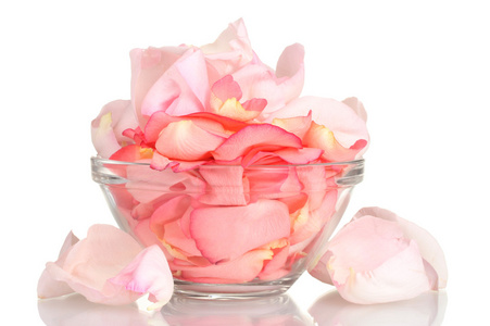美丽粉红玫瑰花瓣放在白色上孤立的玻璃碗