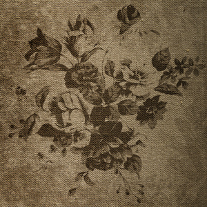 装饰复古花卉背景