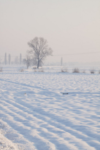 雪景