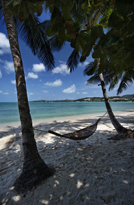 泰国苏梅岛 苏梅岛，海滩和椰子棕榈树视图