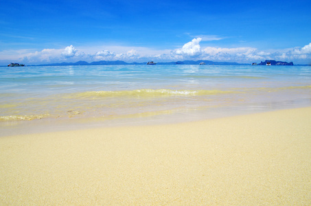 海滩和热带海