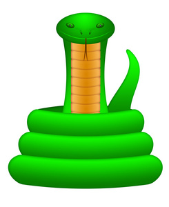 绿蛇线圈起来的插图