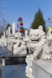 中国公墓图片