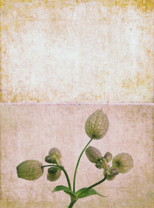 可爱背景图像与花卉元素