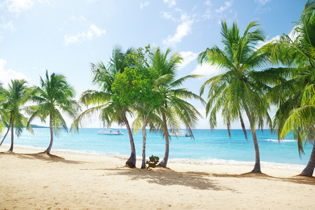 在多米尼加共和国卡塔利娜岛的海滩