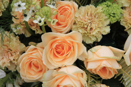 康乃馨和玫瑰淡橙色