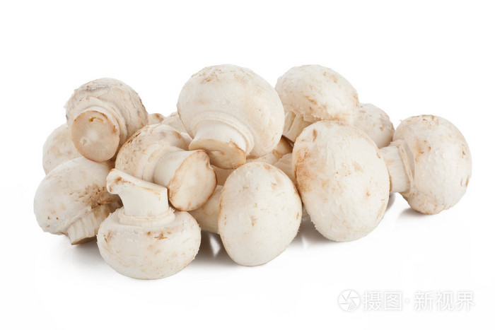白蘑菇