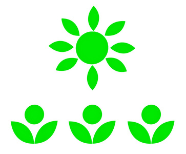 绿色与孤立在白色背景上的绿色太阳花