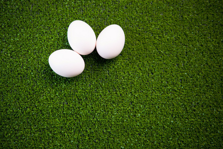 组的绿色草坪上的鸡蛋