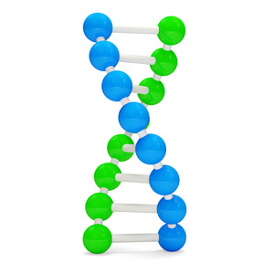 孤立在白色背景上的 3d dna