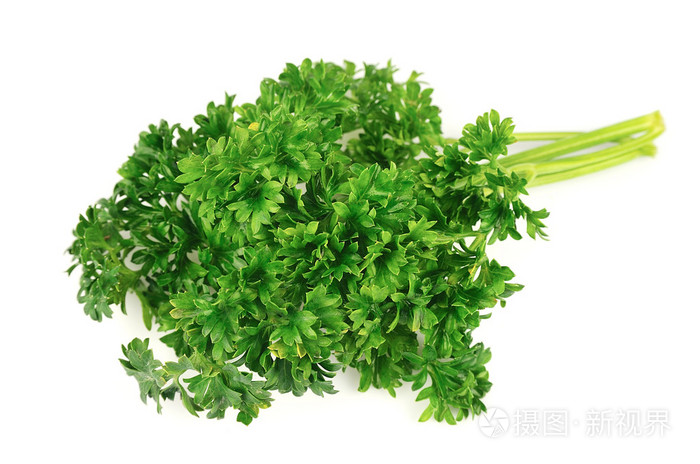 4047*2682px发票合同问题/配菜原料韭菜香料香菜新鲜蔬菜欧芹查看作者