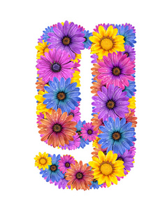 字母表从七彩露水的花朵