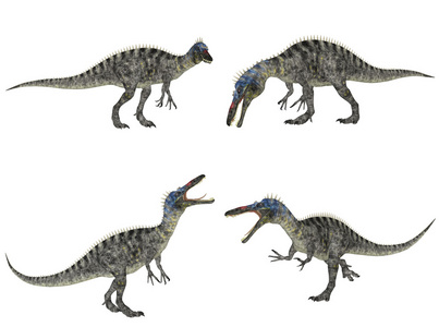 suchomimus 包