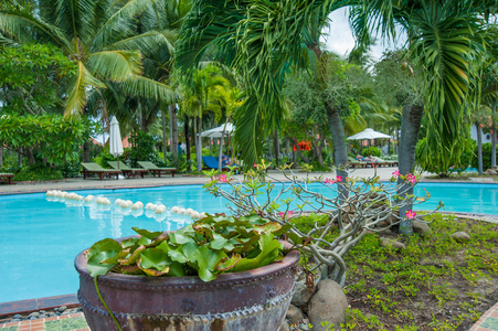 海滩酒店度假村游泳池图片
