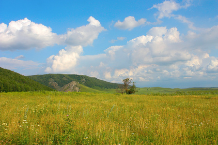 美丽的夏天风景