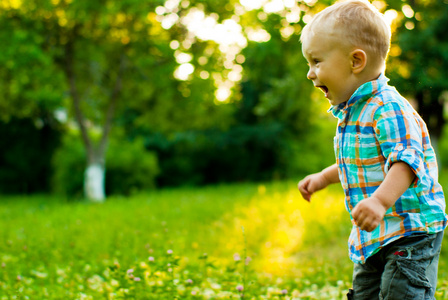 夏天的漂亮的小男孩在草地上的肖像