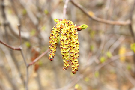 悬崖照片-正版商用图片19ymfm-摄图新视界