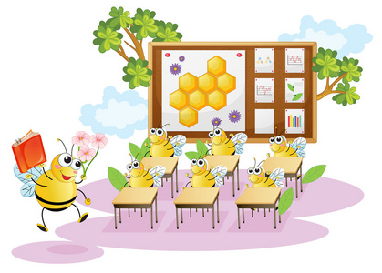 在课堂上的蜜蜂