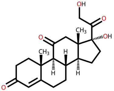 可的松结构式