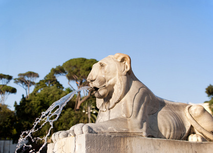 在罗马的一头狮子的雕像