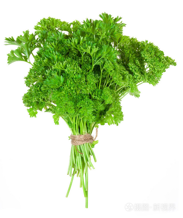 新鲜欧芹