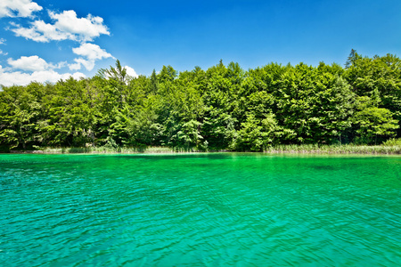 在克罗地亚十六湖国家公园的美丽景观