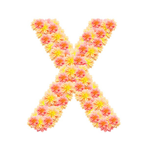 x 花卉字母表上白色隔离