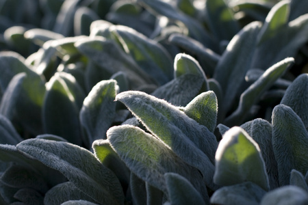 悬崖照片-正版商用图片19ymfm-摄图新视界